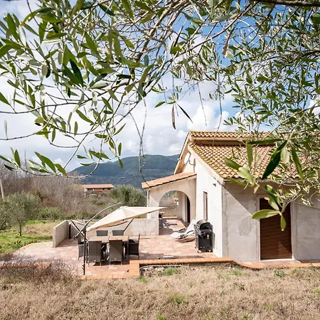 Oliveto Foria